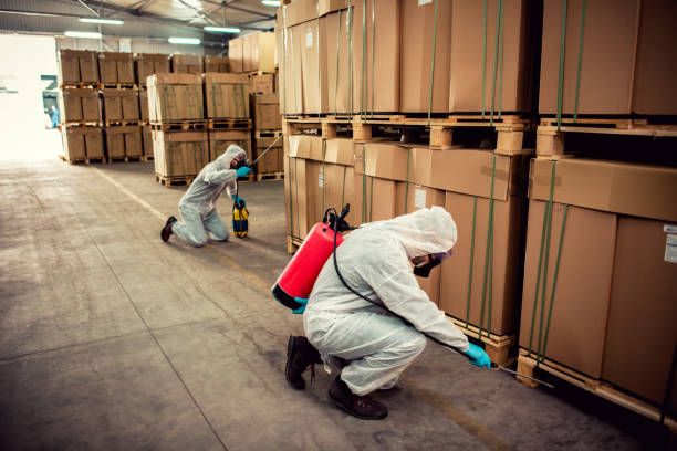 Best Best Pest Control Companies  in Littlefield, TX