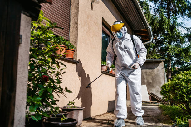 Trusted Littlefield, TX Pest Control Experts