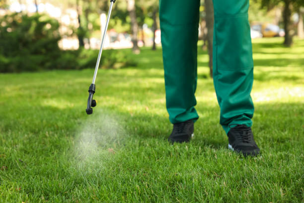 Wildlife Control Services in Littlefield, TX