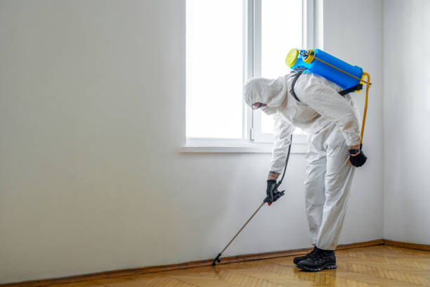 Best Mosquito Control Services  in Littlefield, TX