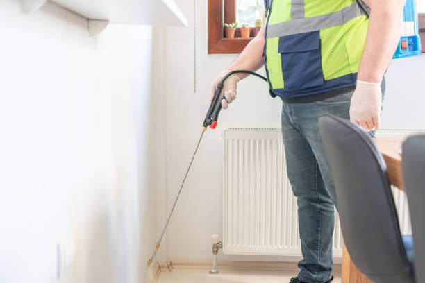 Wasp Removal Services in Littlefield, TX