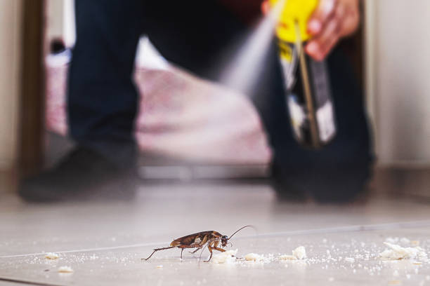 Best Pest Inspection Near Me  in Littlefield, TX